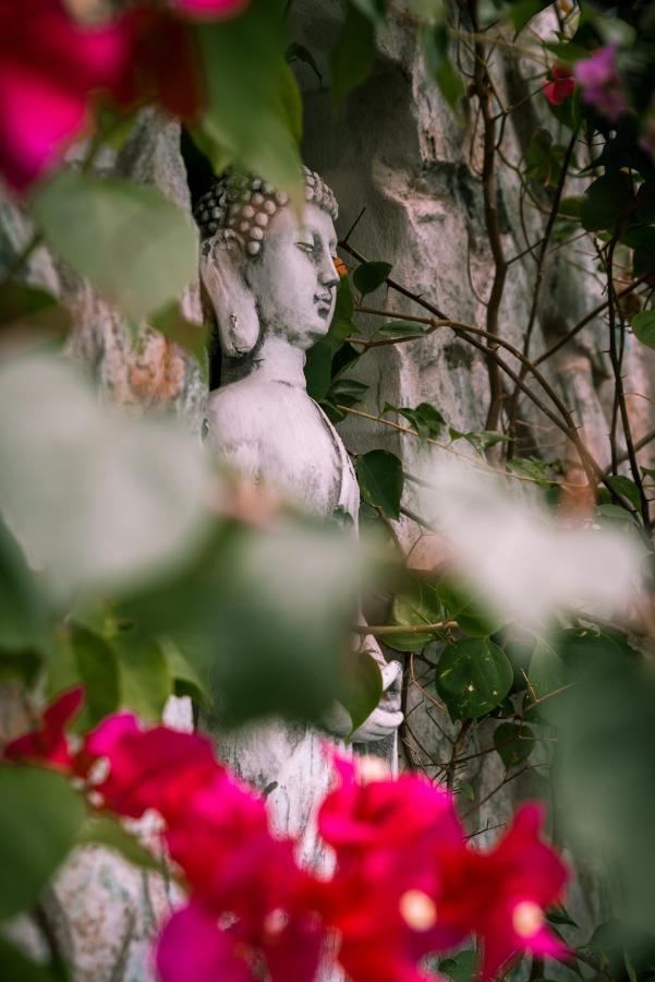 Zen Garden Tamarindo - Adults Only Otel Dış mekan fotoğraf
